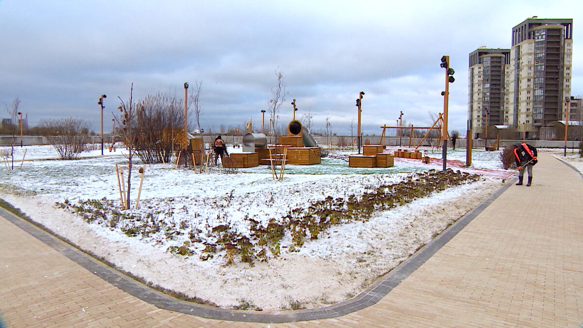 Реклама бухгалтерских курсов. Образование для дизайнера интерьера. Обучение русскому языку. Обучение санкт петербурге с нуля. Дополнительное образование спб.