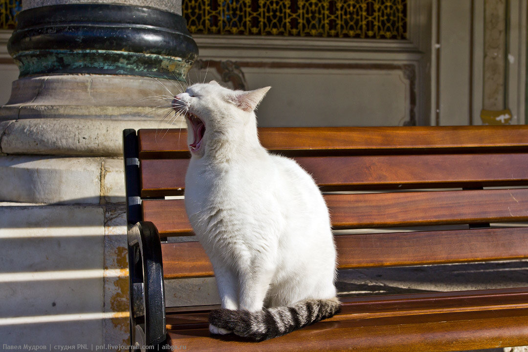 Фото из интернета 