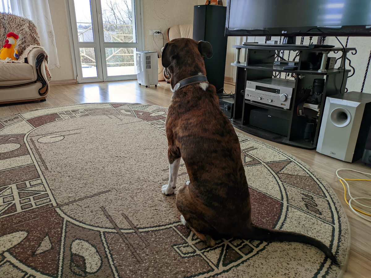 Тихая ночь святая ночь ноты для фортепиано. Тихая ночь святая ночь ноты. Озеро селигер закат. Природа спокойствие. Рассвет на озере в выборге.