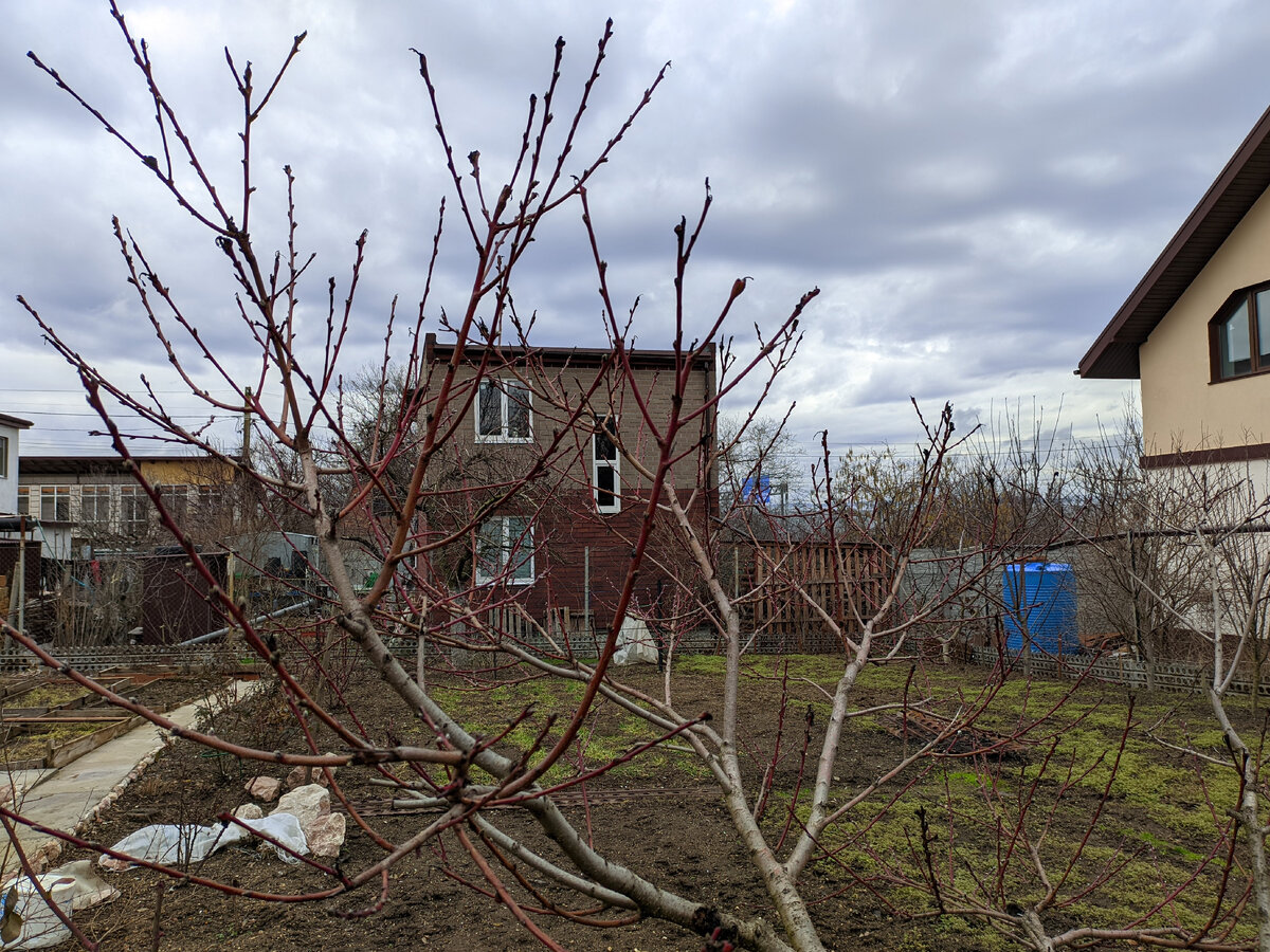 Текст песни весну звали. Весну звали минус. Веснянка текст. Весну звали слова. Весну звали лето ждали.