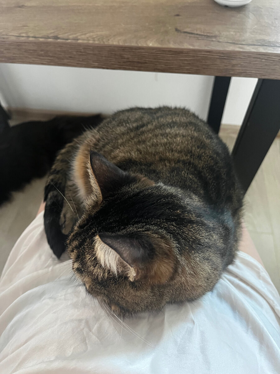 Фото автора 