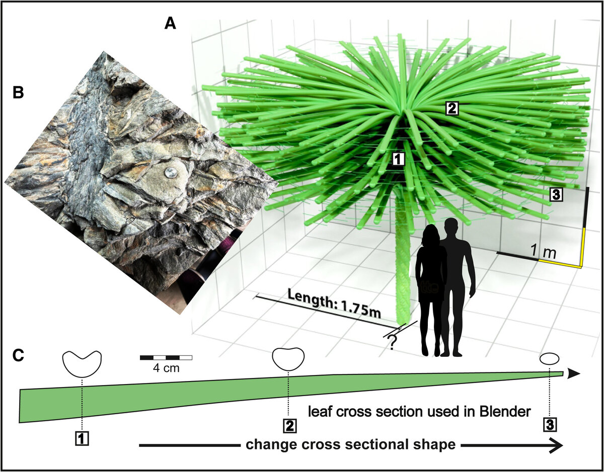 фреон r22. баллон с фреоном 407. хладон r-407 в баллоне 11,3 кг. R в c 11. R в c 11.
