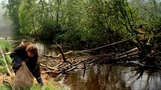 егор в лесу. ходит дурачек. егор летов про дурачка. ходит дурачек. ходит дурачек.