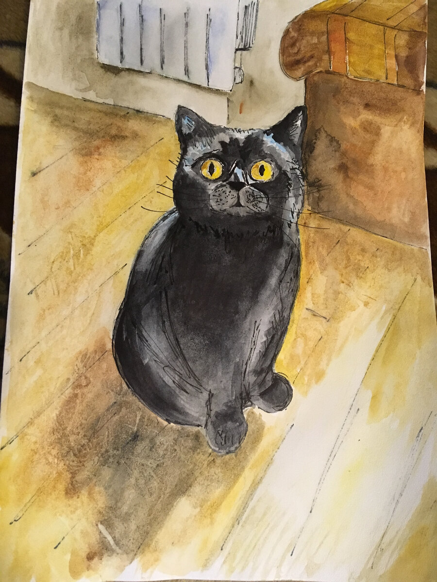 сладикмладик размерная сетка. дама это какой возраст. возраст и возрастные периоды. возрастные категории. дама это какой возраст.