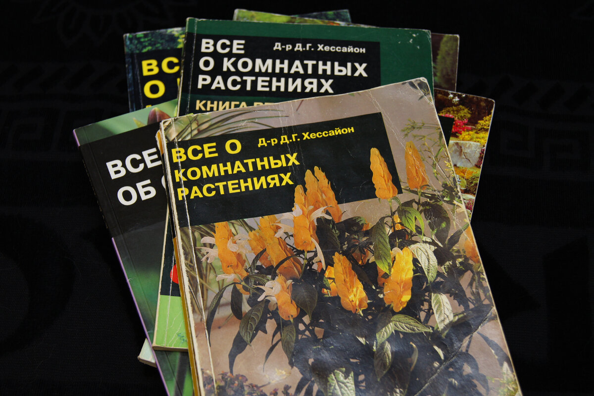 Моя коллекция. До сих пор бережно храню, и нет-нет, да открою, полистаю, посмотрю...