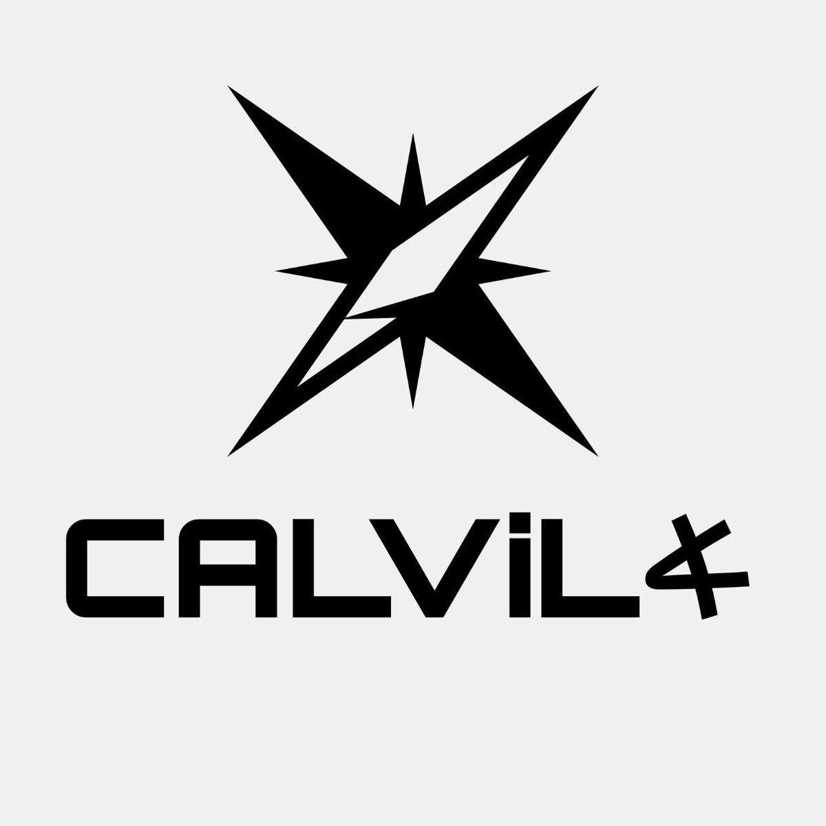 Единственный логотип группы CALVIL на данный момент