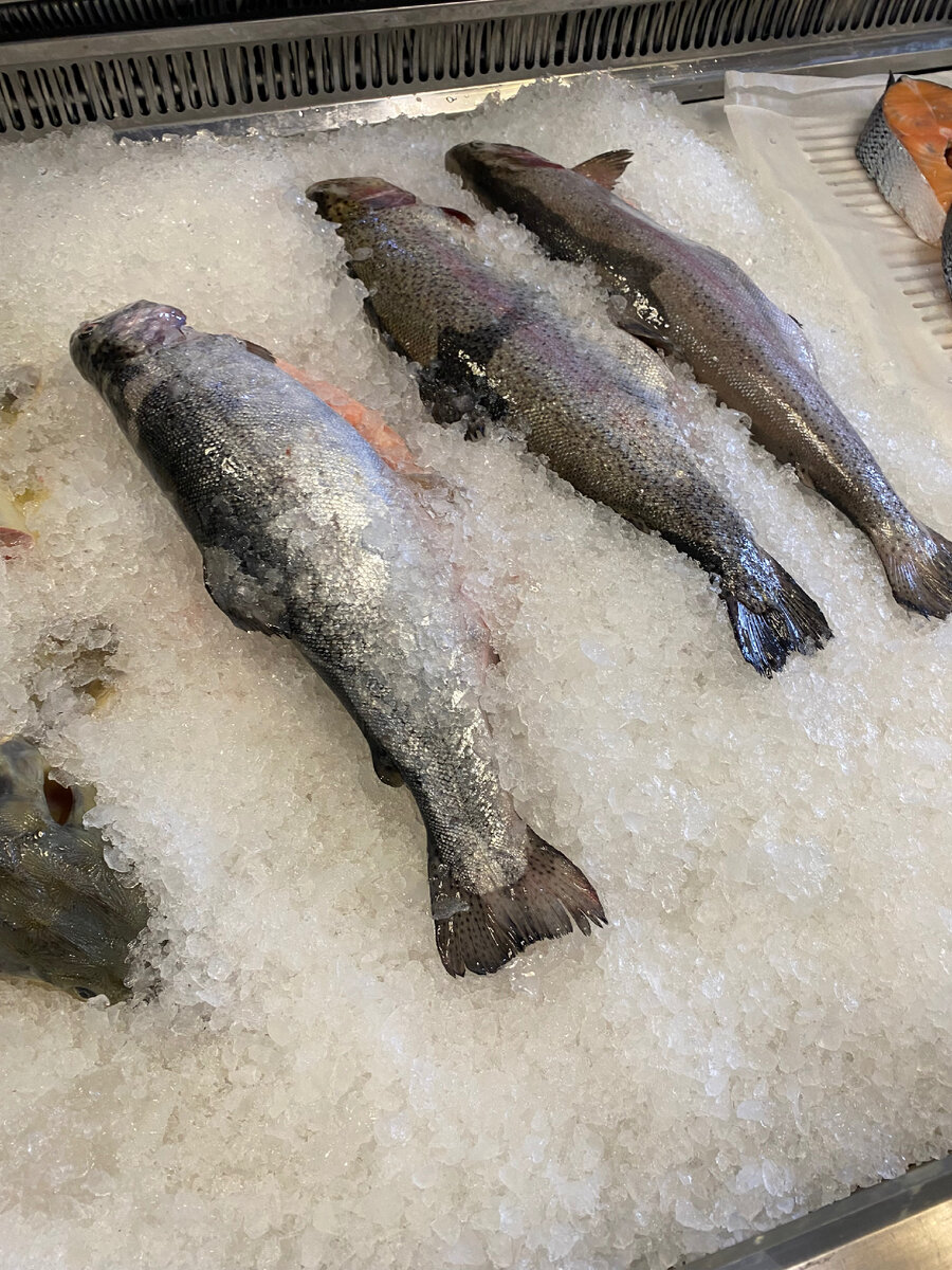 лермонтова, 199. загороднева 5 саратов. 585 ставрополь. пушкина 55 курган. московская 59 ставрополь.