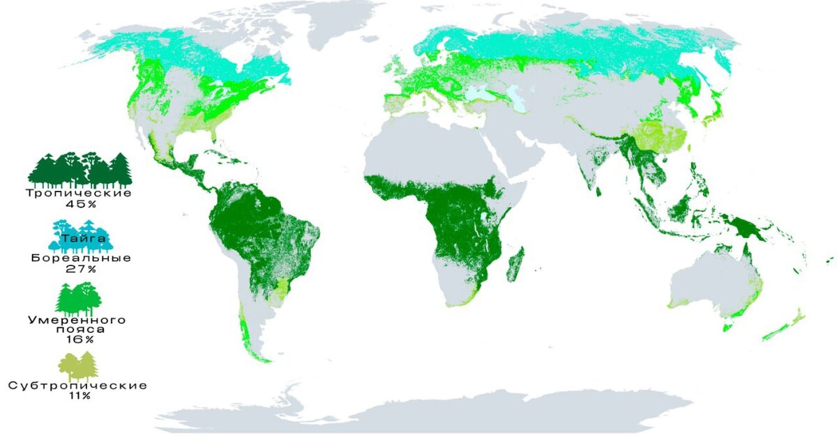 Примерно настолько зелена наша планета Земля: Леса покрывают 31% поверхности суши в мире. Ежегодно они поглощают около 15 миллиардов тонн углекислого газа.-3