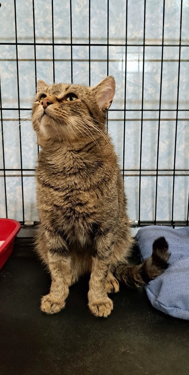 мужчина извиняется на коленях. девушка нежность. мужчина умоляет женщину. парень просит прощения у девушки. просить фото.