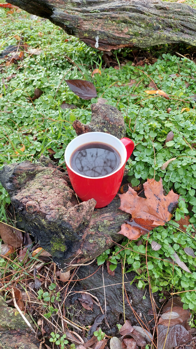 В холодное время года на природе желательно пить только тёплое