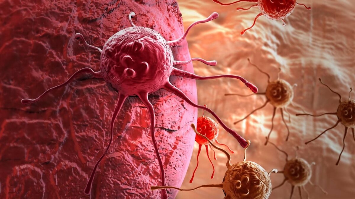 РАК: МИФЫ И РЕАЛЬНОСТЬ 