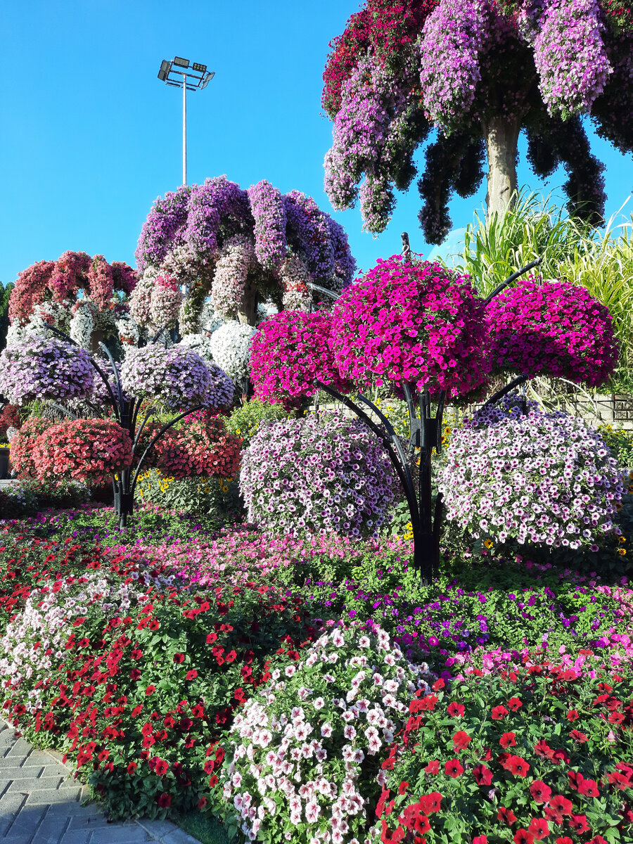 Парк цветов 