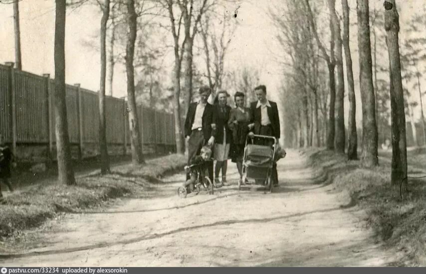 Парк Сокольники. 2-й Лучевой просек 1948 год. Слева - забор розария. Автор Г. А. Сорокин.