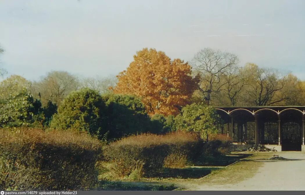 Парк «Сокольники». 1999 год. Автор Виктор Лукашевич.