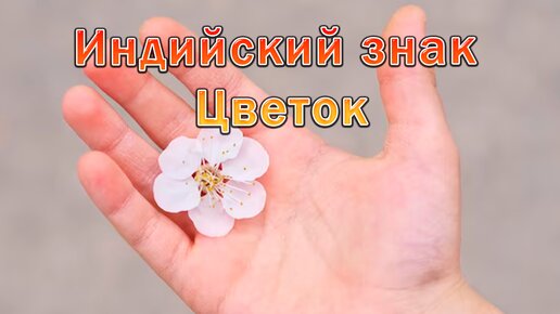 Цветок на ладони. Индийский знак. Хиромантия.