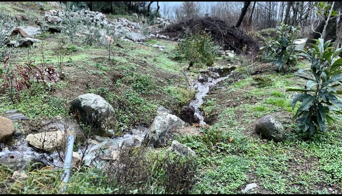 Не стройте дом в Крыму, не зная броду: вода - благо, но когда она не  подмывает Вам фундамент. | Victor Fecit, художник-собиратель | Дзен