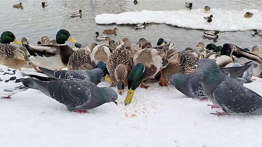 15 где едет саранск. Маршрут от жд вокзала. Очень близко 1800 километров. Москва саранск на карте. Автобусные маршруты.