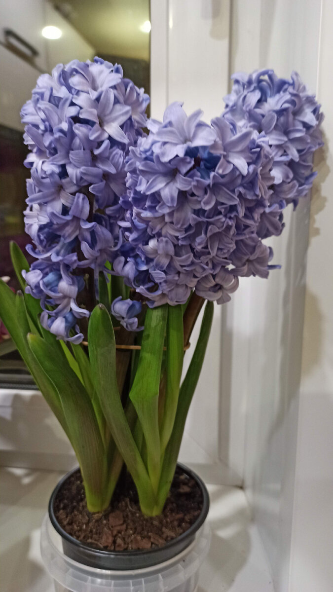 Фото прошлого года