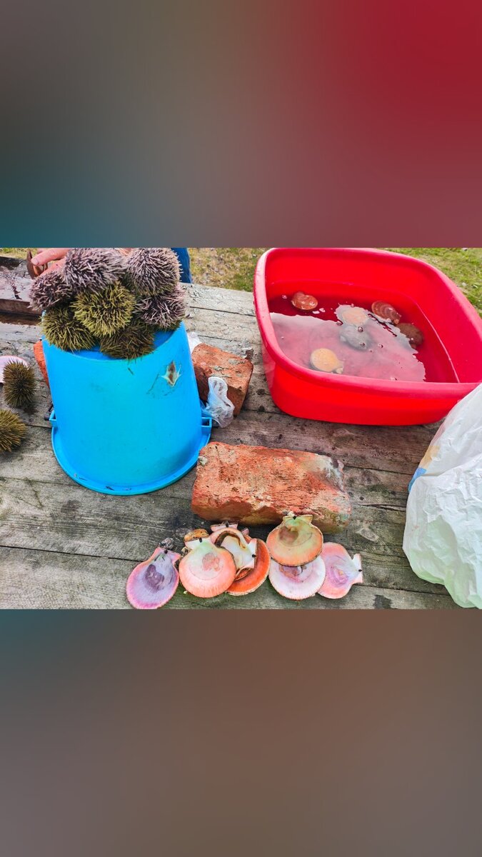 Местные деликатесы 