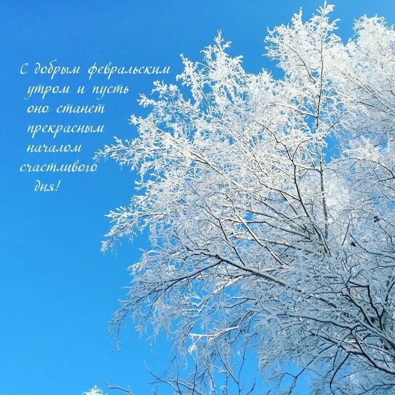 С добрым феврал ским утром. С добрым праздничным утром февраля. Открытки с доброй утрой. Доброго февральского утра и отличного дня. Доброе зимнее утро.