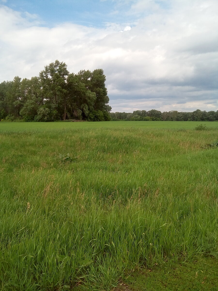 2. В галерее 2 фото, листайте