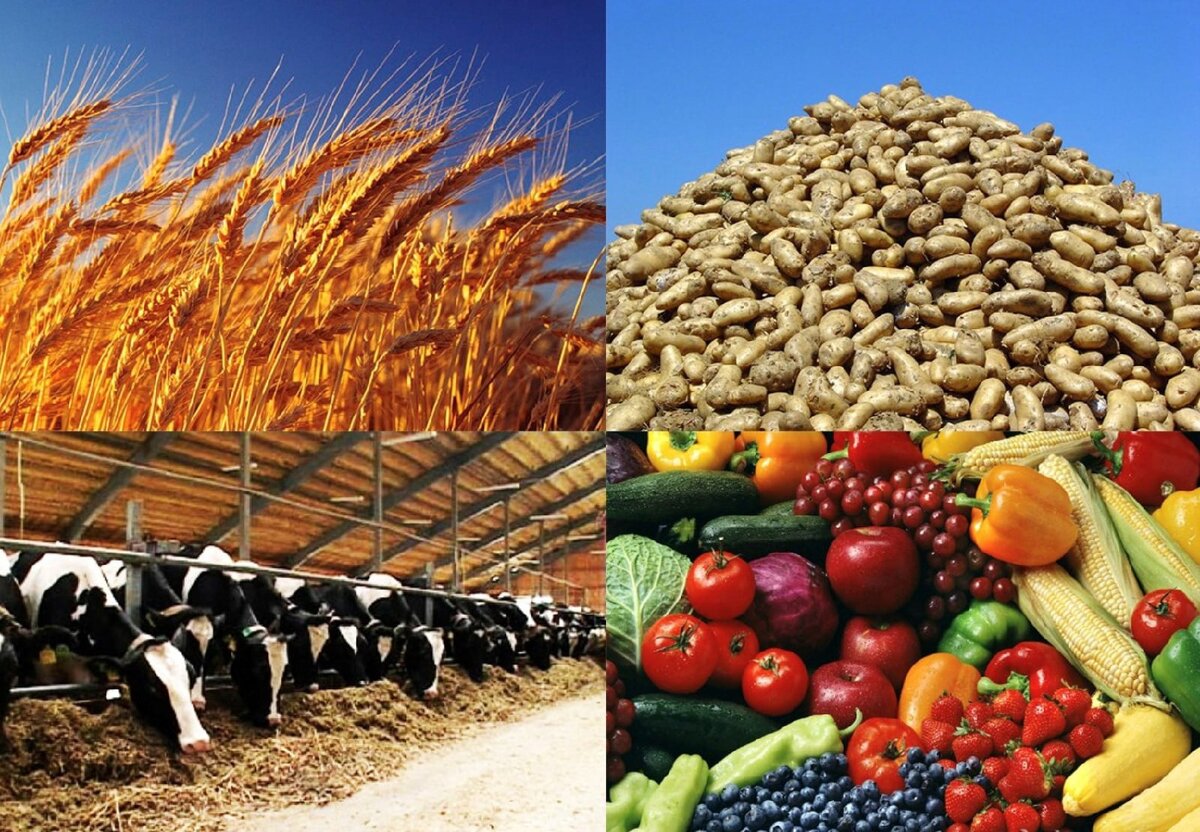 Арбитражные суды апк. Апк сумма. Гпк и апк. Гпк и апк. Господдержка апк 2021.