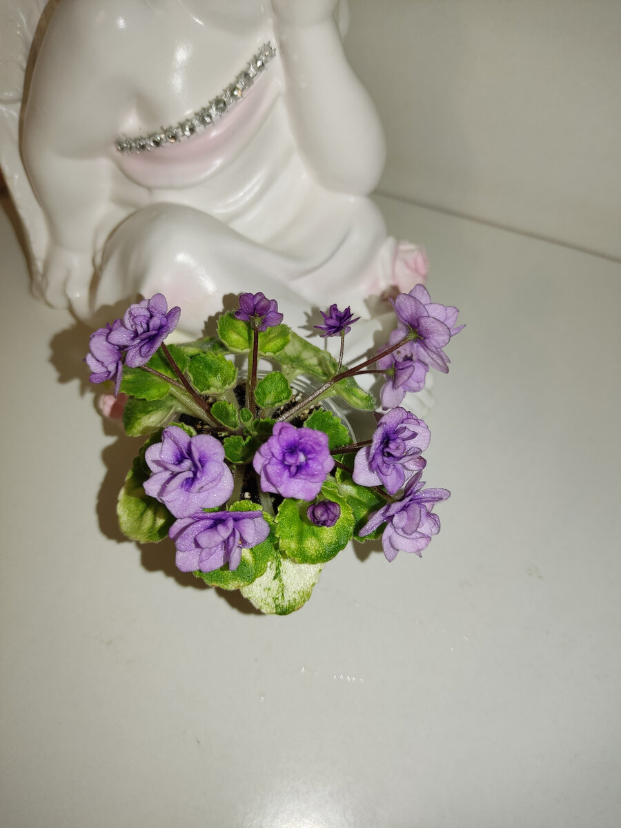 Little Caboose (H. Pittman) 