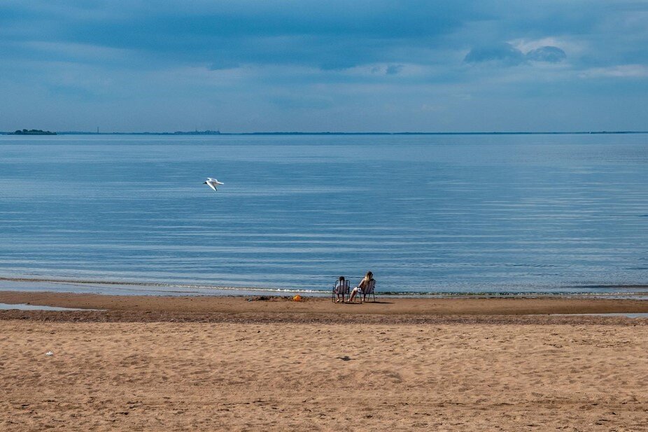    Автор фото: Михаил Тихонов / "Деловой Петербург"