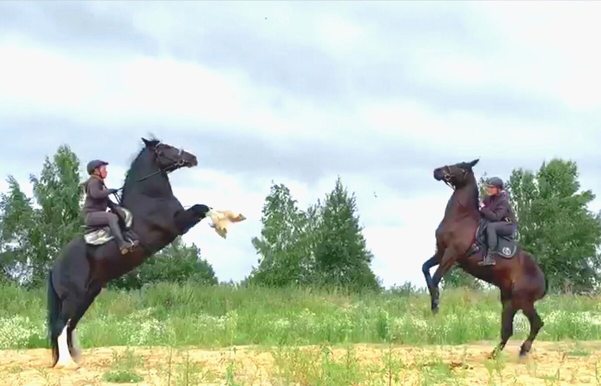 Мы с приятелем работали на дизеле текст. Сергей михалков мы с приятелем. Михалков стихи мы с приятелем вдвоём. Россия меняет людей. Сергей михалков стихотворение для мы с приятелем.