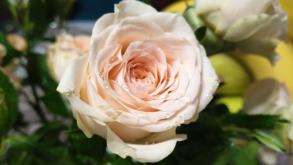 Цветы в день рождения.Фото автора.