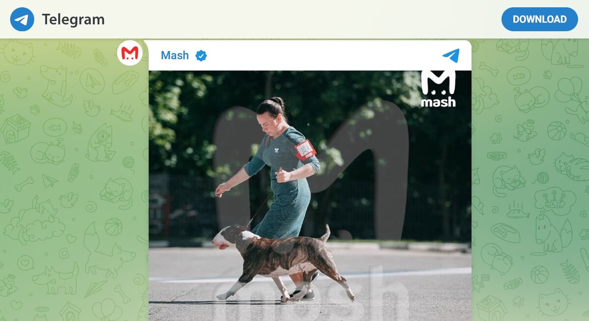 Скриншот телеграм-канала Mash
