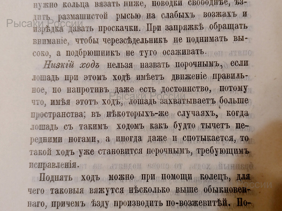 «Журналъ конозаводства», №1, январь 1894 г. (из библиотеки «Рысаков России») 