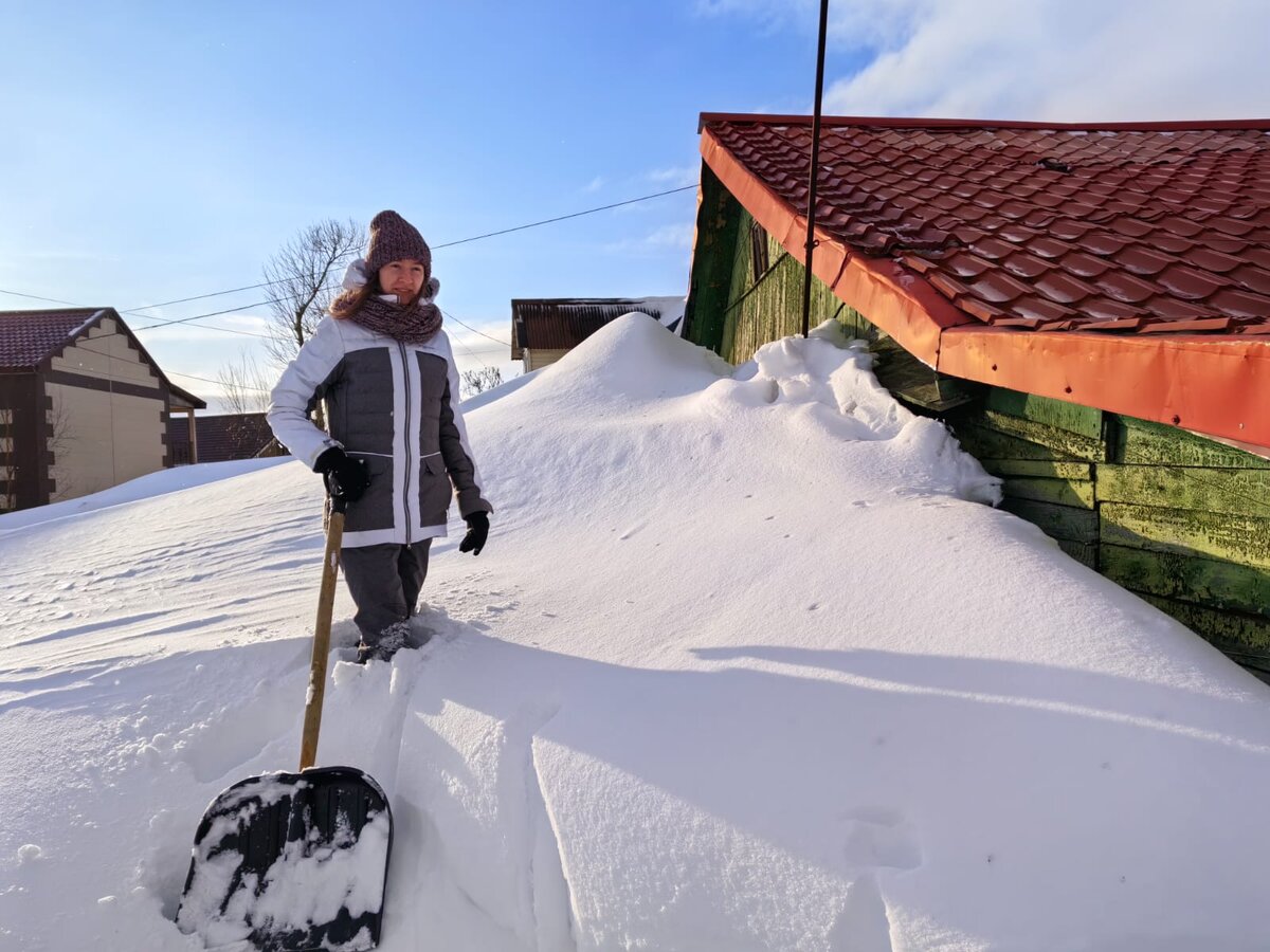 направления работы волонтеров. волонтеры помогают. социальное волонтерство. социальное волонтерство. сферы помощи волонтеров.
