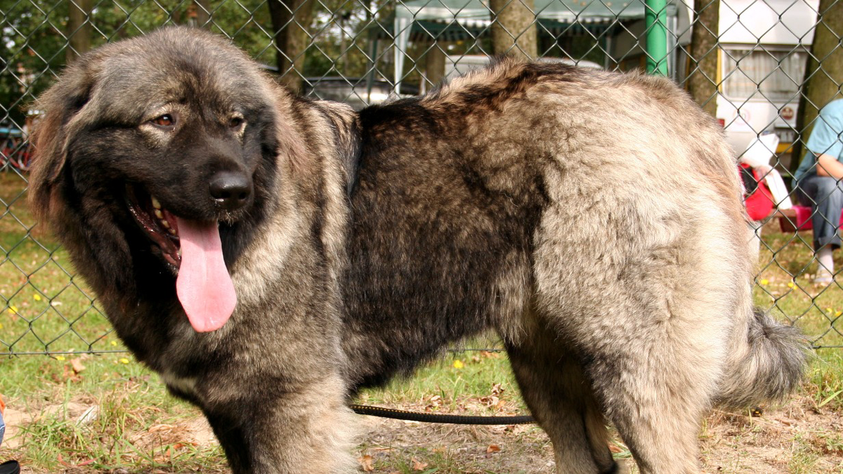    Фото: Pleple2000 / CC BY-SA 3.0