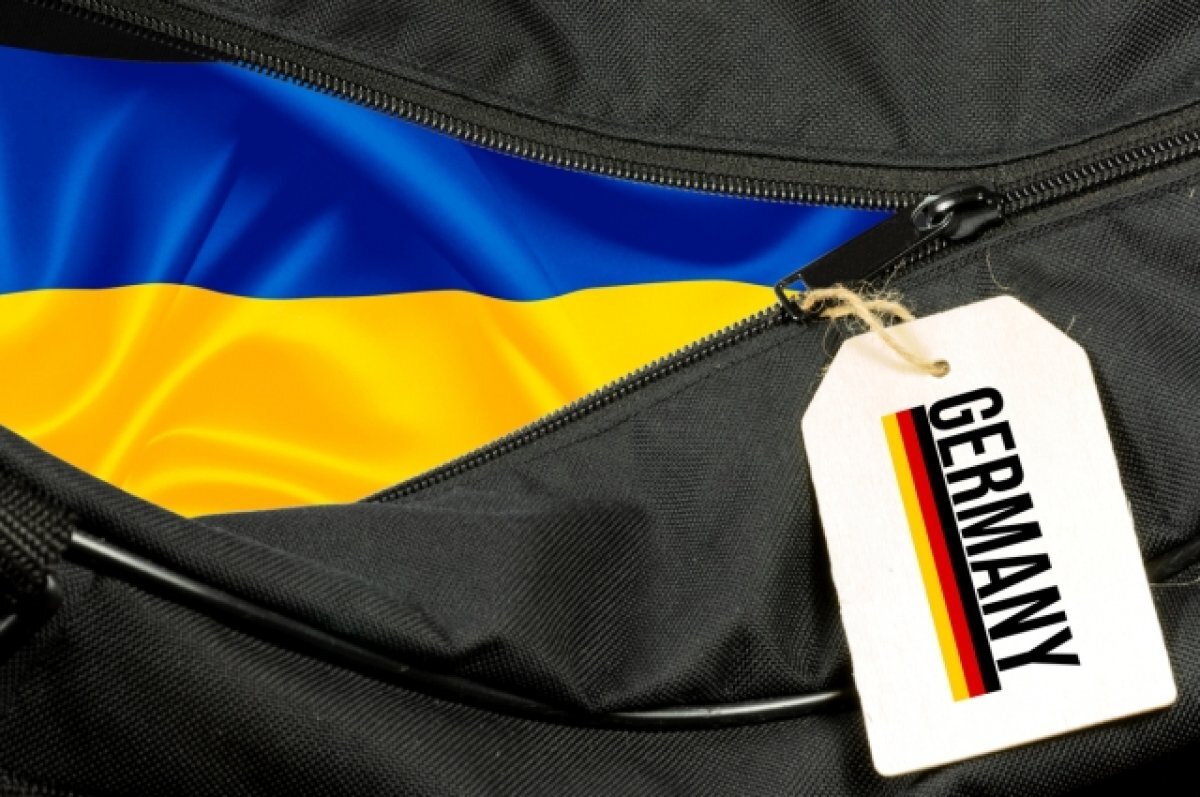    Спонсоры безделья.