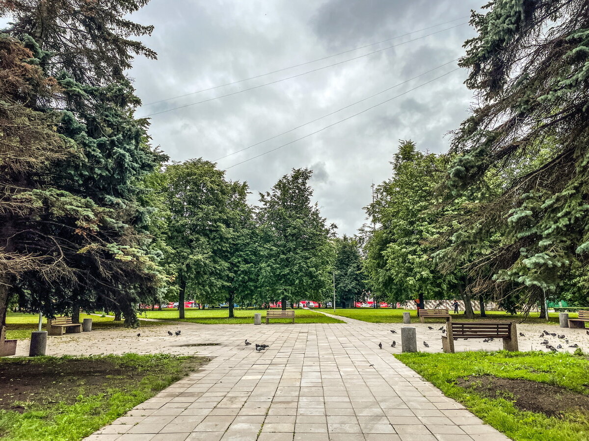 сканворды для печати. олимпийский кроссворд. столица олимпийских игр 7 букв сканворд. столица олимпийских игр 7 букв сканворд. кроссворд для детей по олимпийским играм.