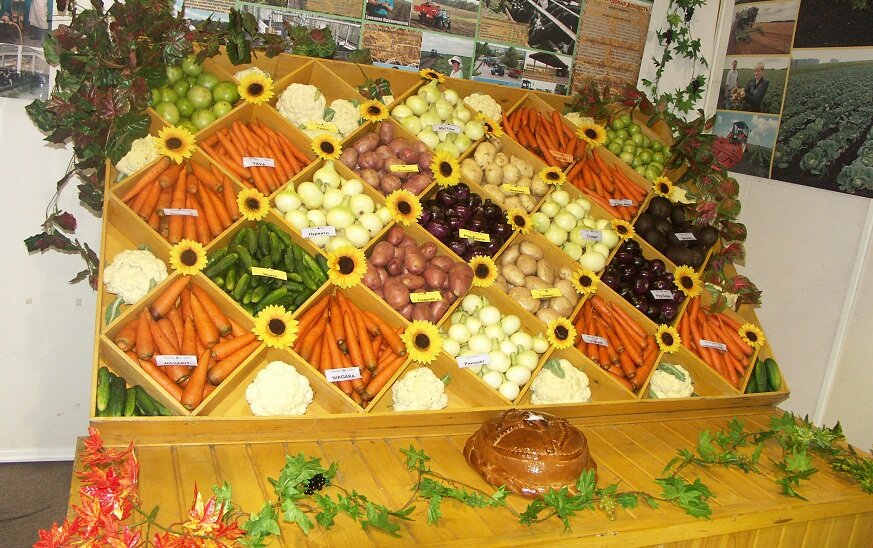 Фото: Царьград/Ростов-на-Дону