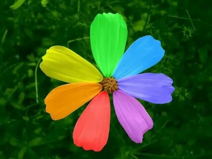 фото с просторов интернета