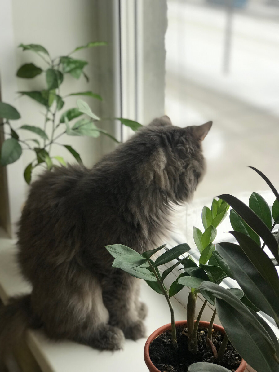 Все фото Автора канала.