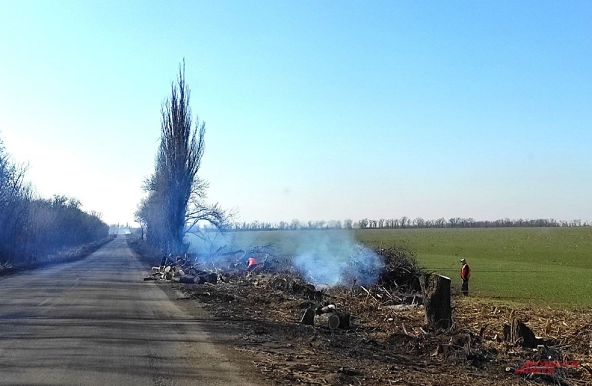    В ЛНР рассказали об ущербе после уничтожения Киевом лесов в Донбассе