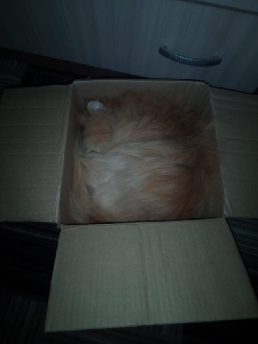 Вроде как компактный