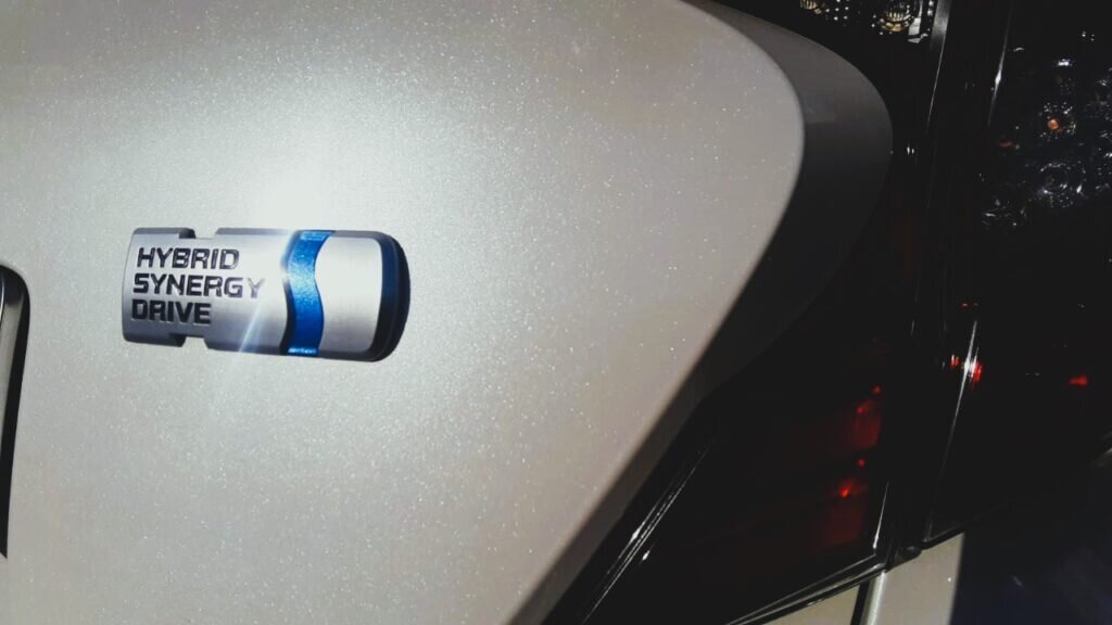    Фото: Амур.инфо