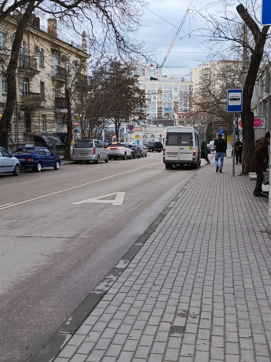 Цирк, зеленые медведи, улица Генерала Петрова Севастополь | Прогулки по  Севастополю | Дзен