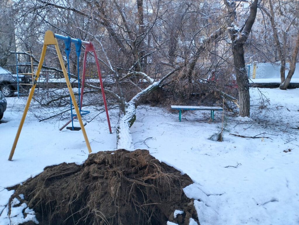    WhatsApp Image 2024-02-06 at 08.05.47 (1)