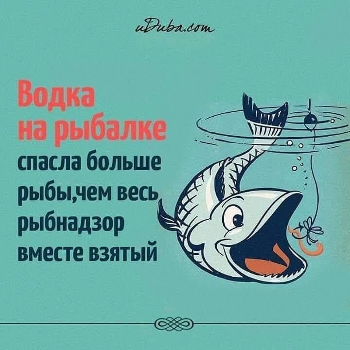 Плохо быть рыбой. Цитаты про рыб. Цитаты про рыбалку. Высказывания про рыбалку. Прикольные фразы про рыбу.