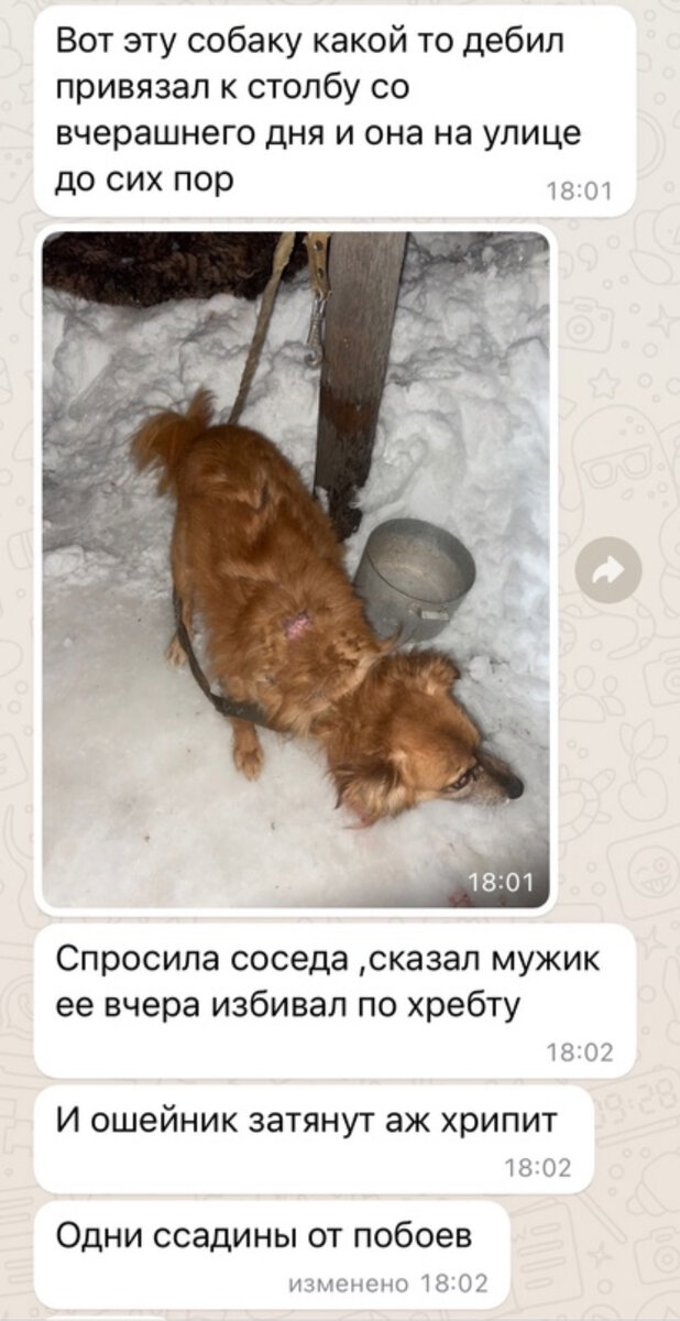 -2