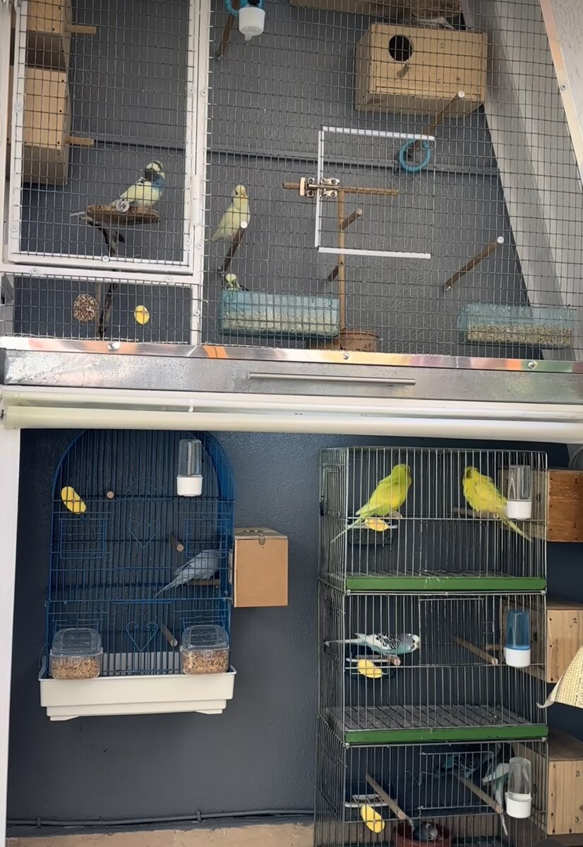 Маленькие клетки