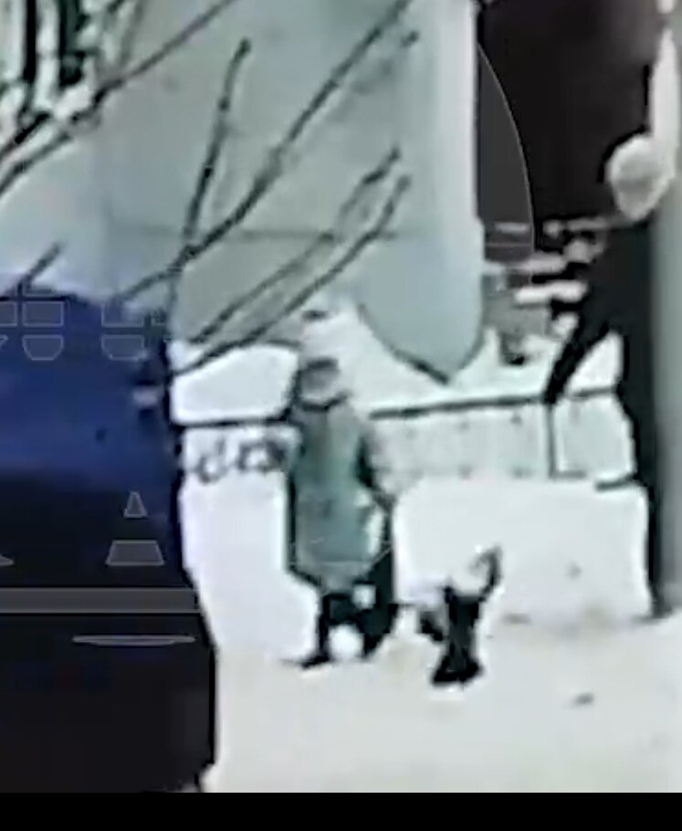 Девушка пошла в школу. Красивые первоклашки. Девушка пошла в школу. Девочка идет в школу. Девочка бежит в школу.