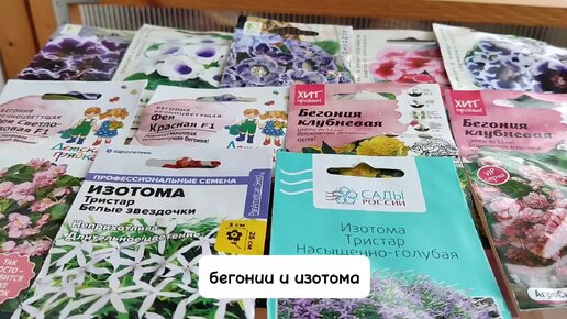 Посев цветов с мелкими семенами в торфяные таблетки. Быстро, чисто, удобно