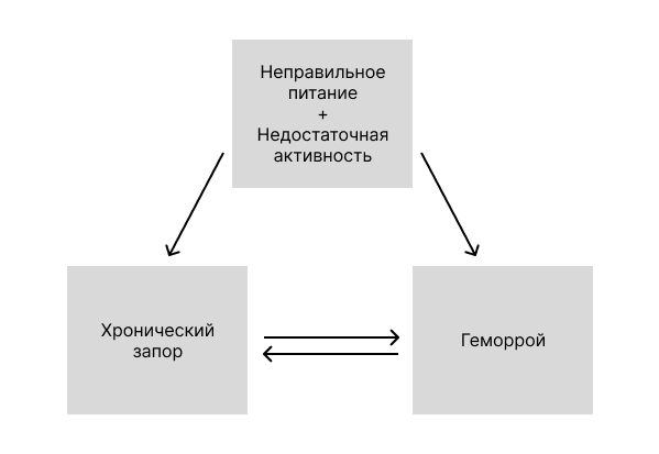    Фото: «Алан Клиник Москва»